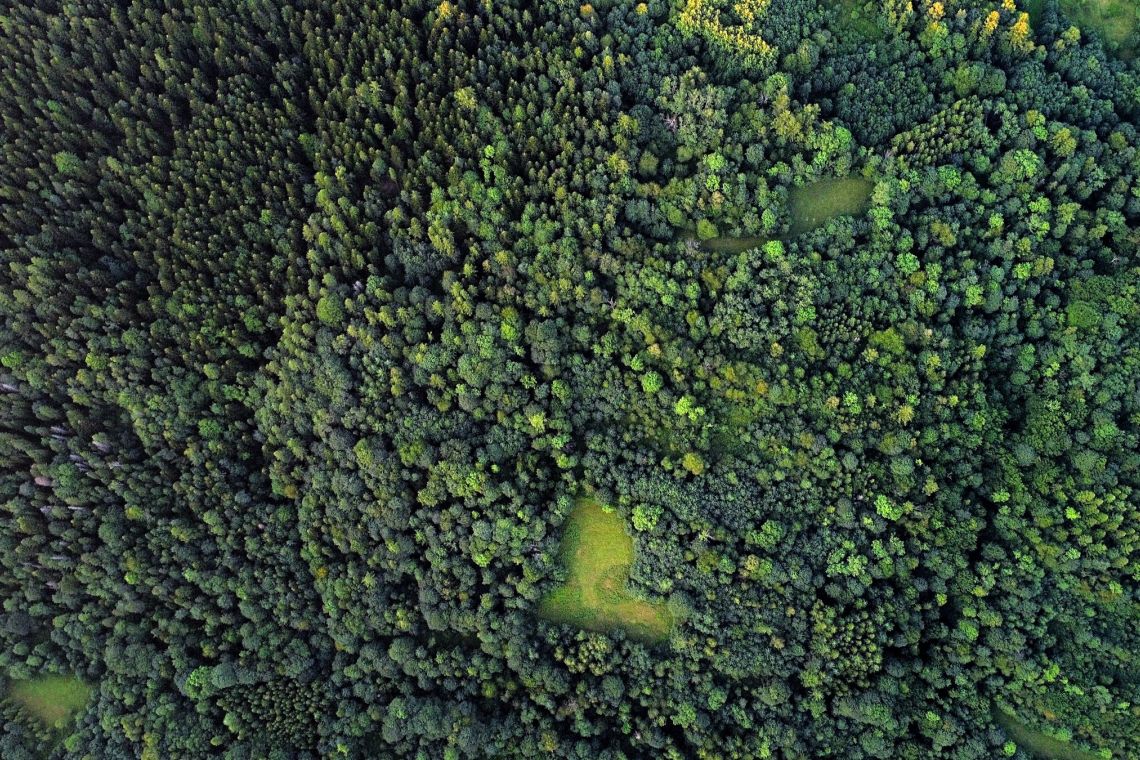 Fundacja działa dla Ministerstwa Klimatu i Środowiska!